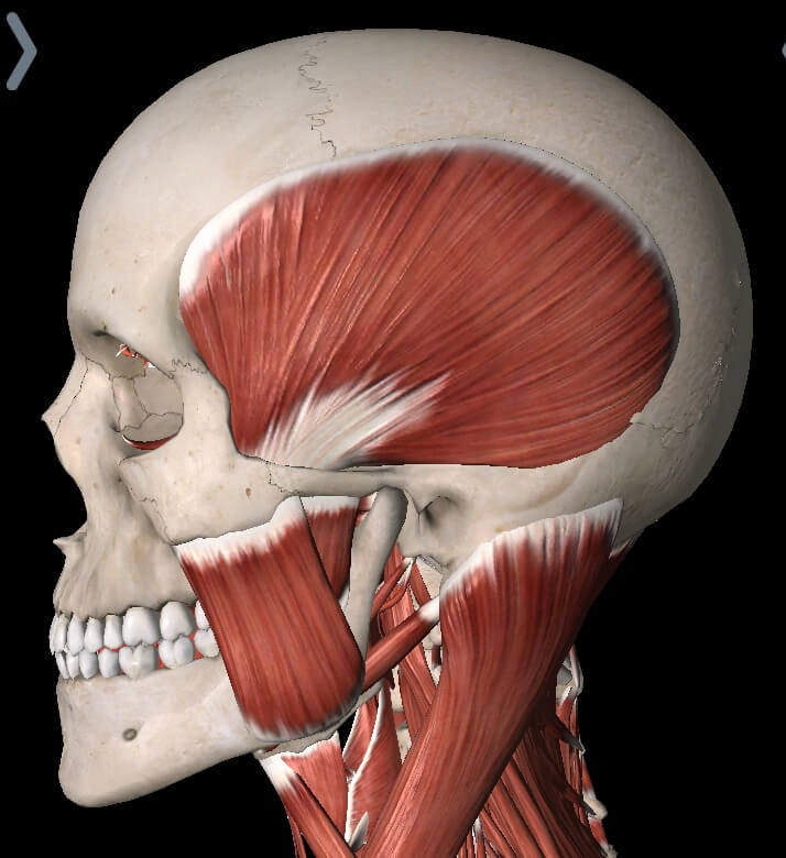 Jaw Pain & TMJ Disorders- Health Source Physical Therapy